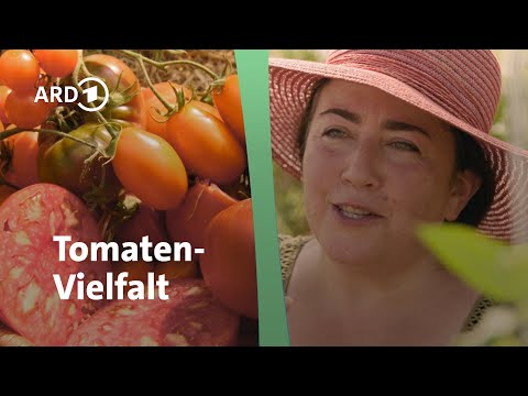 Über 1500 Tomatensorten: Irina Zacharias' Leidenschaft für Vielfalt │Querbeet