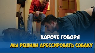 Смотреть онлайн Смешная попытка дрессировка собаки