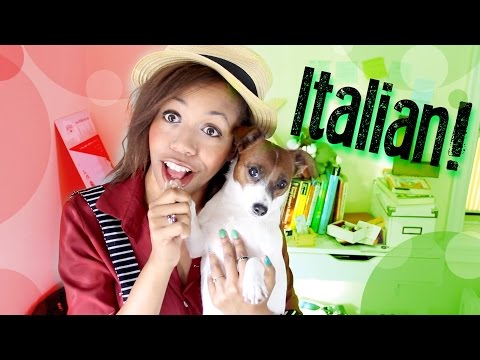 說意大利語!★意大利語,2周的課程成果【帶CC字幕】。 (Speaking Italian! ★イタリア語、2週間のレッスンの結果 【CC字幕付き】)