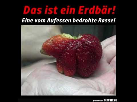 Norbert & die Feiglinge - Erdbeer