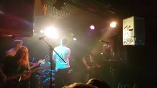 Swingin&#39; Utters - Stupid lullabies (live in Amsterdam)