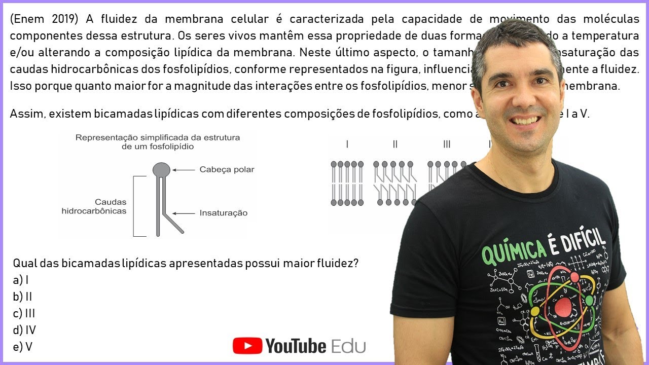 QUÍMICA ENEM 2019! "A fluidez da membrana celular é caracterizada..."