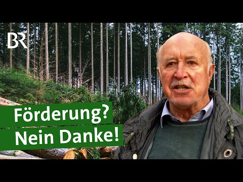 Förderung nicht erwünscht? Warum manche Waldbesitzer auf bares Geld verzichten | Unser Land | BR