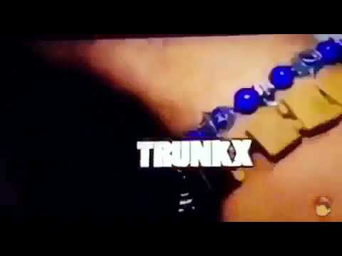 Trunkxs animation (4 closure )