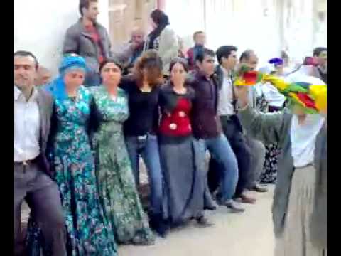 Kızıltepe Düğünleri - Daweta Şebiya- Şebililer Düğünü