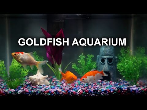 GOLDFISH AQUARIUM | 8 HOURS | RELAXING | NO MUSIC