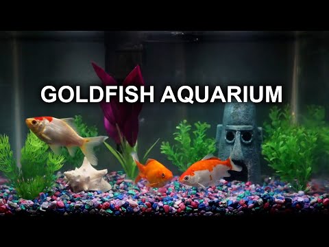 GOLDFISH AQUARIUM | 8 HOURS | RELAXING | NO MUSIC