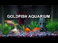 GOLDFISH AQUARIUM 8 HOURS RELAXING NO MUSIC