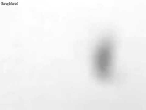 AS1 - FROM THE ABOVE [TRANSIENT FORCE 2007] ORIGINAL VIDEO