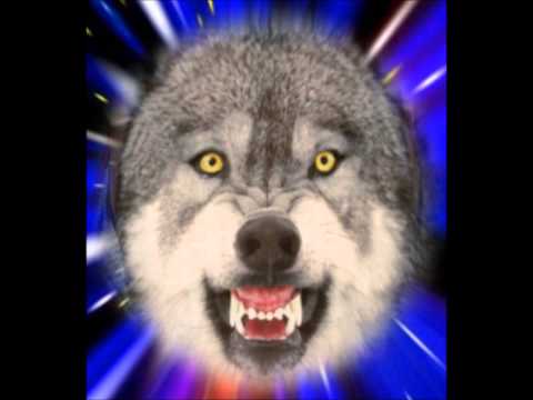 Wild Animal Competition With Colour Background