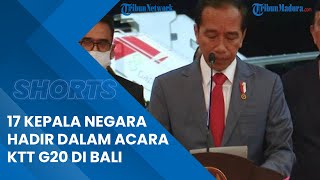 17 Kepala Negara Hadir dalam Acara KTT G20 di Bali, Presiden Jokowi: Ini Sangat Menggembirakan