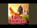 Animal Sheep Baby Lamb Int Single Call Goats Sheep