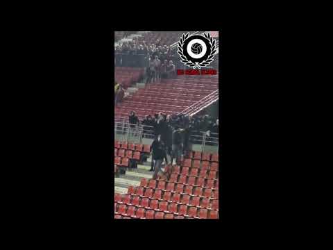 Hooligans Royal Antwerp - FC Porto 25-10-2023 .