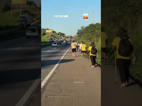 Multidão de romeiros domina acostamento da Dutra rumo a Aparecida do Norte (SP)