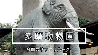 【動物園】多摩物園に行ってきたよ