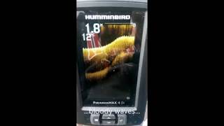 Эхолот humminbird fishinbuddy max di