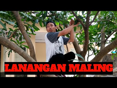 lanangan-maling-ojo-golek-romantis