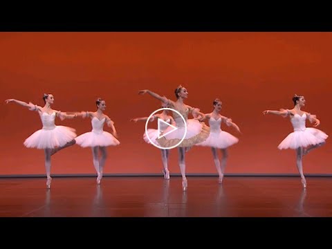 Les journées de la danse