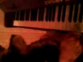 Собака играет на пианино (Голубой вагон) прикол 