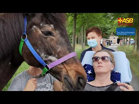 ASB-Wünschewagen Westfalen - Das Glück auf vier Hufen: Ein letztes Mal auf den Pferdehof