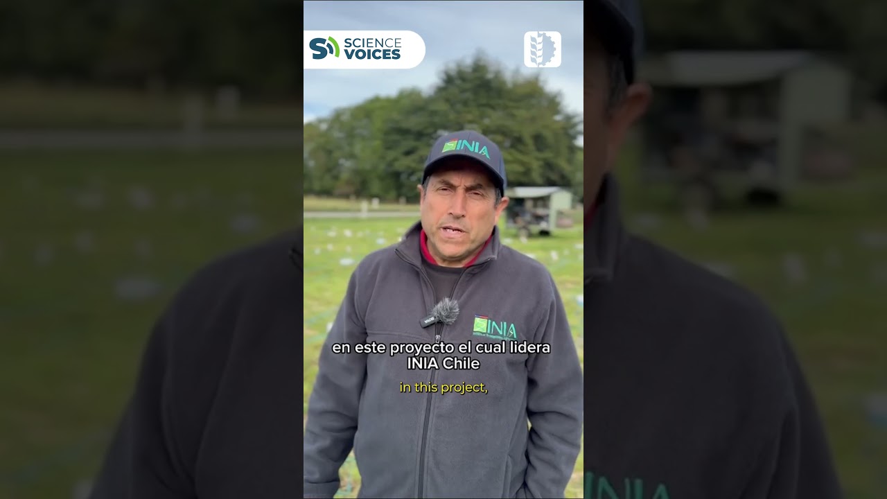 #sciencevoices - @fontagro: Optimización de nitrógeno