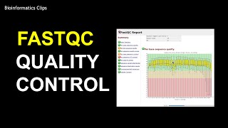 FastQC Tutorial | Command line | quality control