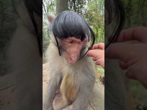 Trời Cho Vai Thì Đại Thánh Ta Đây Sẵn Sàng Diễn