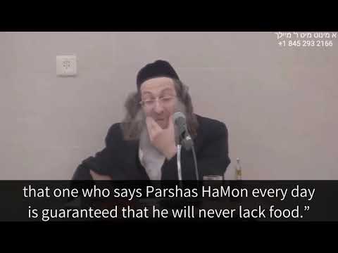 Parshas Hamon - Rabbi Elimelech Biderman