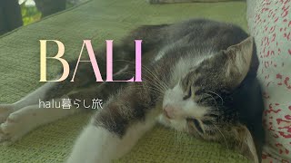 【暮らす様に旅をする】　halu暮らし旅　バリ島編　#bali #バリ島 #nomadiclife 