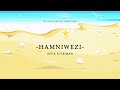 Afua Suleiman Hamniwezi Taarab Official Music Audio