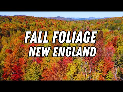 Incredible Fall Foliage of New England 4K