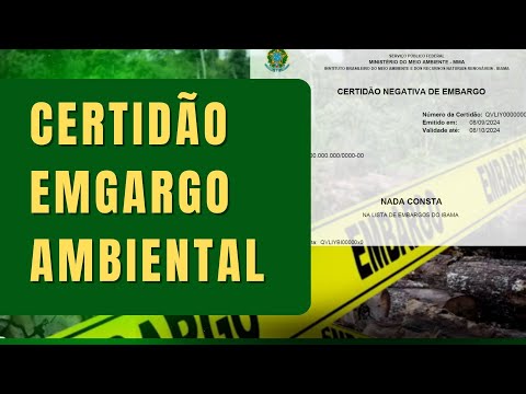 Vídeo: Consulta embargo: perguntas e respostas sobre situação