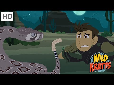 Wild Kratts - The Wildlife Adventure | Kids Videos