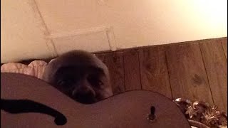 Video thumbnail for Ibanez AFC95 Contemporary Archtop guitar demo by Hebrew Chile