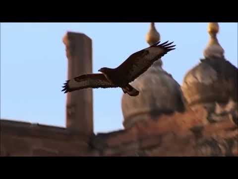 LAWMTEI CHAWNGTE- MUANGIN KA LENG ANG