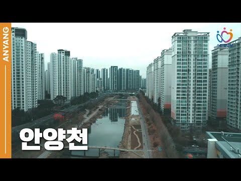 굿바이 겨울! 안양천과 함께하는 특별한 시간