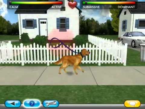 Petz Dog Superstar Nintendo DS