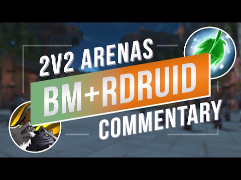 BM Hunter Arena 2v2 Gameplay & Tips | WoW TWW PvP Commentary
