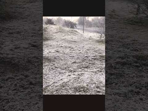 🤣🤣🤣 primera helada en Olegario. V. Andrade #helada #frio #otoño #naturaleza #andrade #misiones #🇦🇷