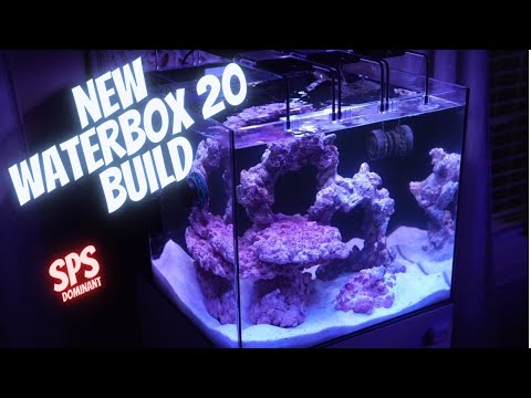 Waterbox 20 cube gets WET #waterbox20cube