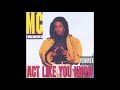 MC Lyte - Absolutely Positively......Practical Jokes (Album Version)