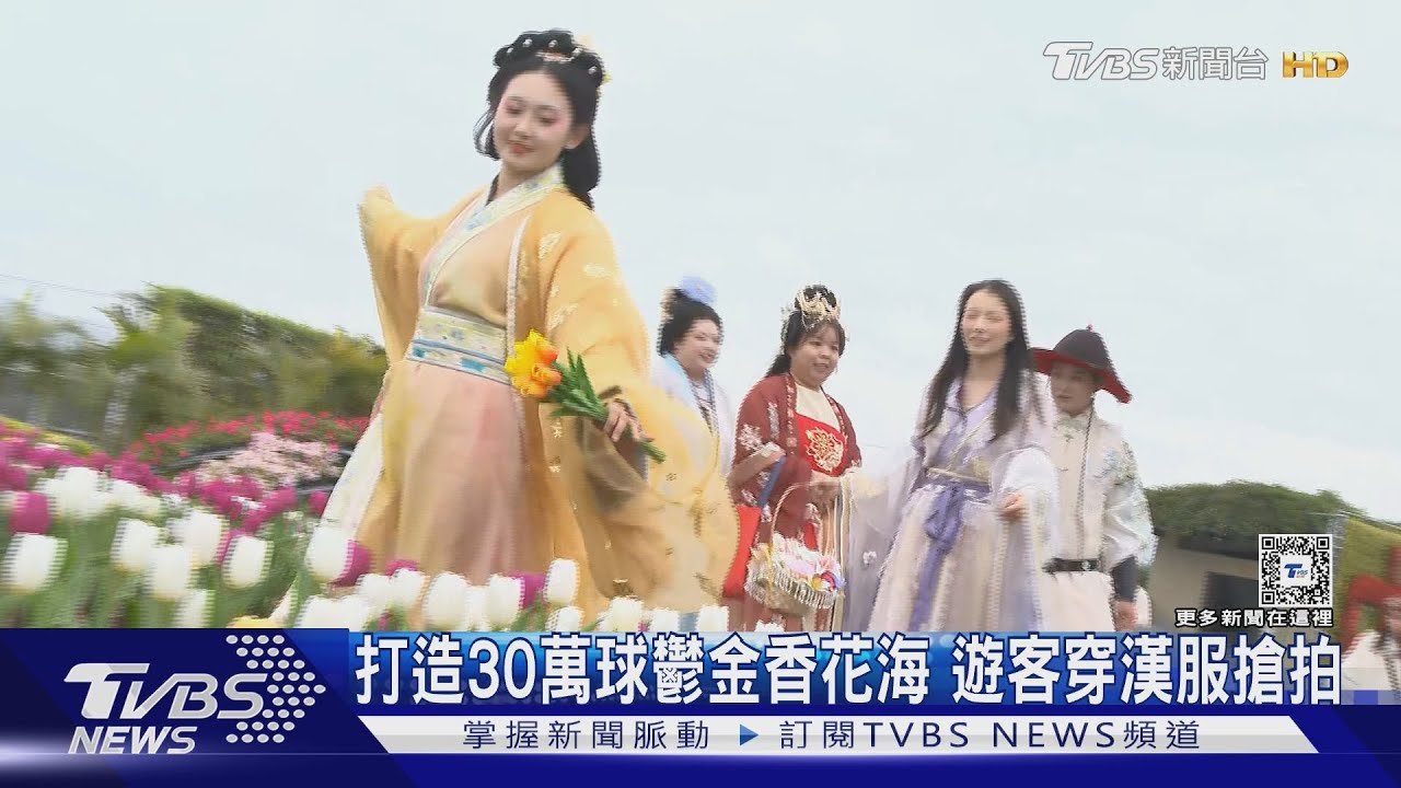 打造30萬球鬱金香花海 遊客穿漢服搶拍