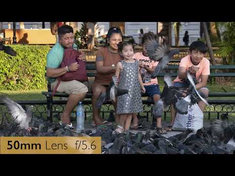 Eos R7 Tutorial Canon R7: The basics (5137C002)