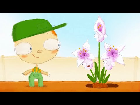 The Day Henry Met 🏝 Flower Garden 🏝 Cartoons for Kids - Kids TV Series, Kingdom Kids Zone - The Day Henry Met