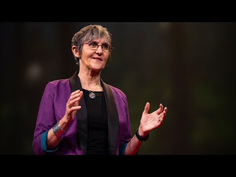 Why Are We Making Pizza Boxes Out of Endangered Trees? | Nicole Rycroft | TED