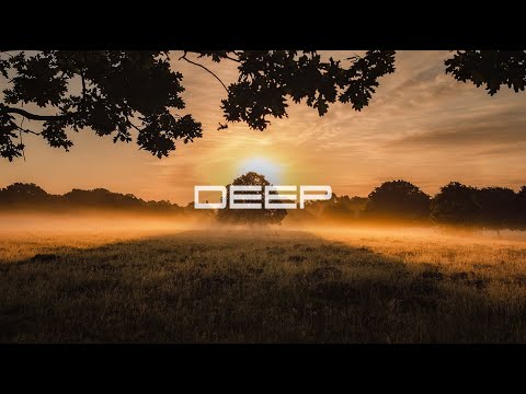 DEEP XI [Tinlicker, Ben Böhmer, Adriatique, Helsloot, Rüfüs Du Sol, Yotto and more] by markQ