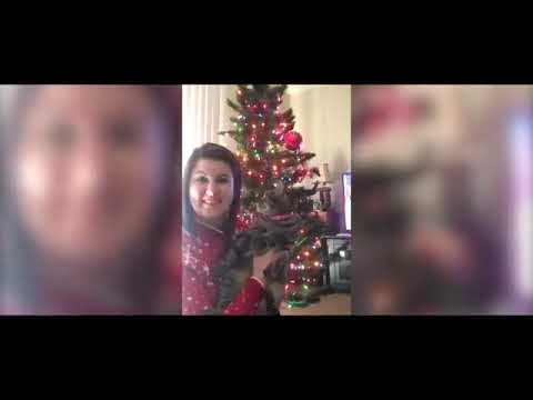 Try Not To Laugh Watching Funny Animal Fails Compilation November 2018