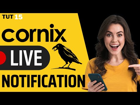 How to Set Up Live Notification for Cornix Trading Bot in Telegram - Tut 15 | cornix live updates