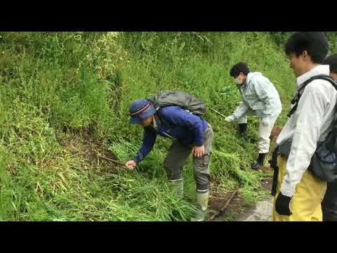 学科ニュース006 地域交流実習（草刈り・植栽）