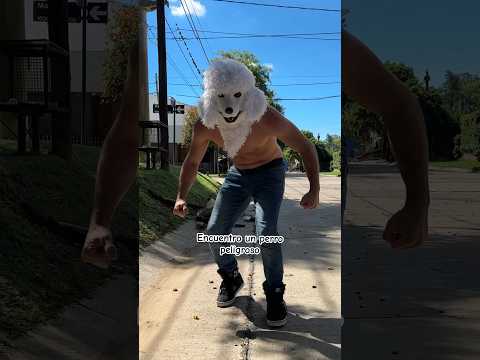 I find a DANGROUS DOG #viral #trending